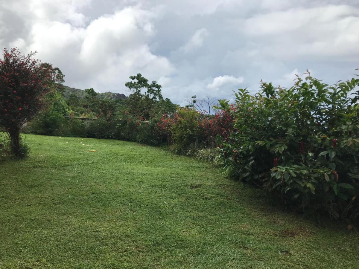 فيلا Tropical Garden Self Catering فيكتوريا المظهر الخارجي الصورة