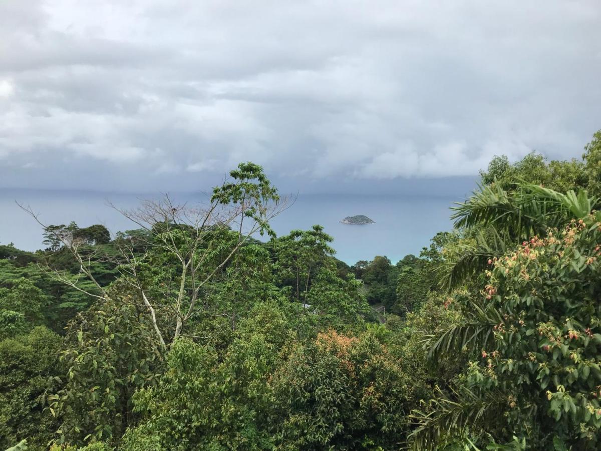 فيلا Tropical Garden Self Catering فيكتوريا المظهر الخارجي الصورة