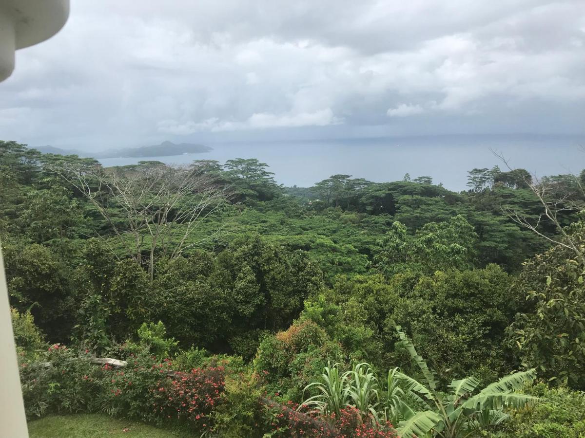 فيلا Tropical Garden Self Catering فيكتوريا المظهر الخارجي الصورة