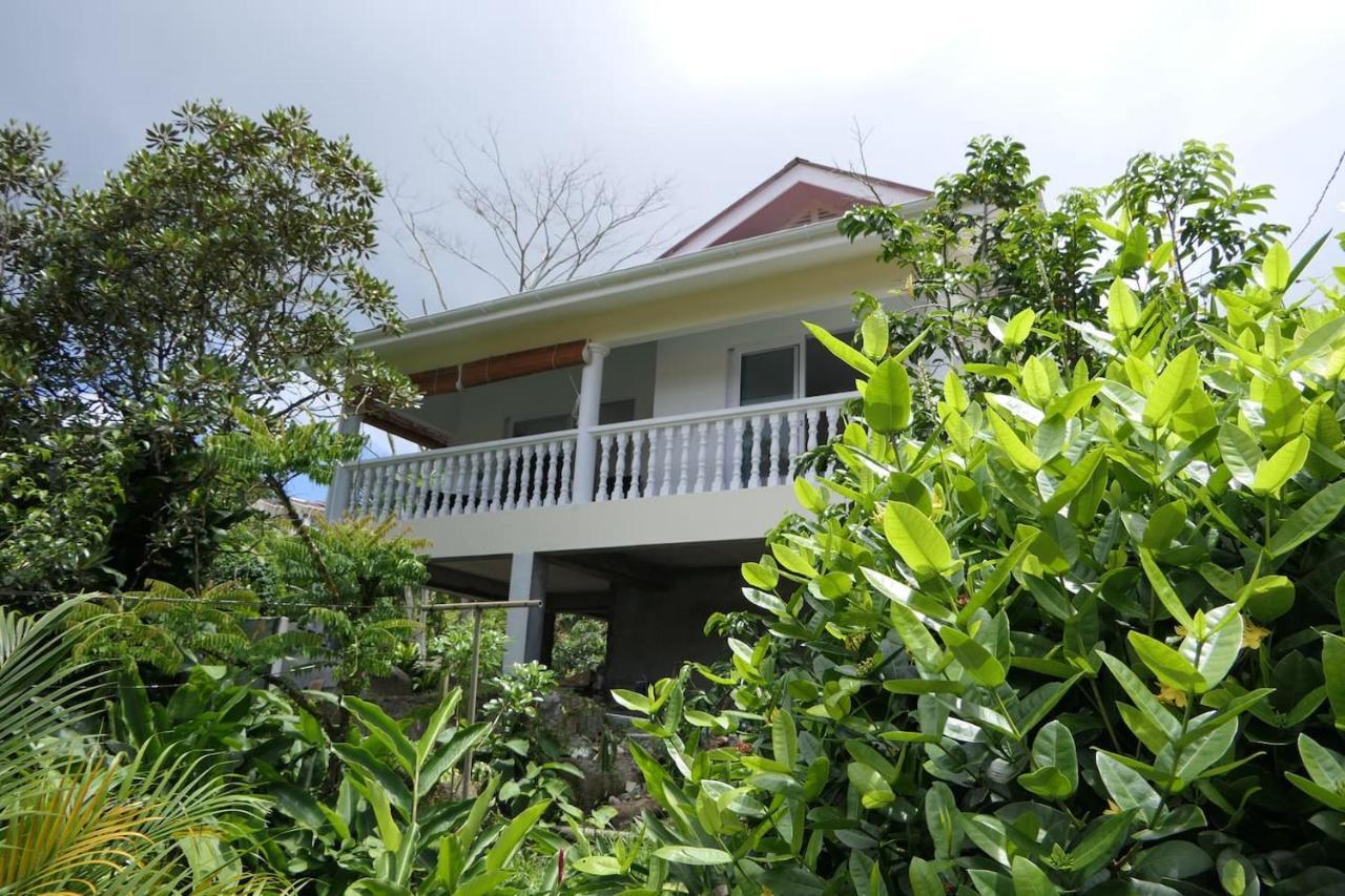 فيلا Tropical Garden Self Catering فيكتوريا المظهر الخارجي الصورة