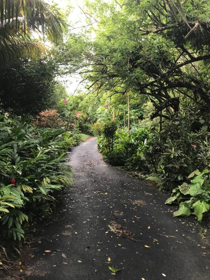فيلا Tropical Garden Self Catering فيكتوريا المظهر الخارجي الصورة