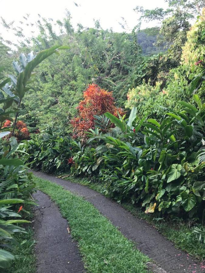 فيلا Tropical Garden Self Catering فيكتوريا المظهر الخارجي الصورة